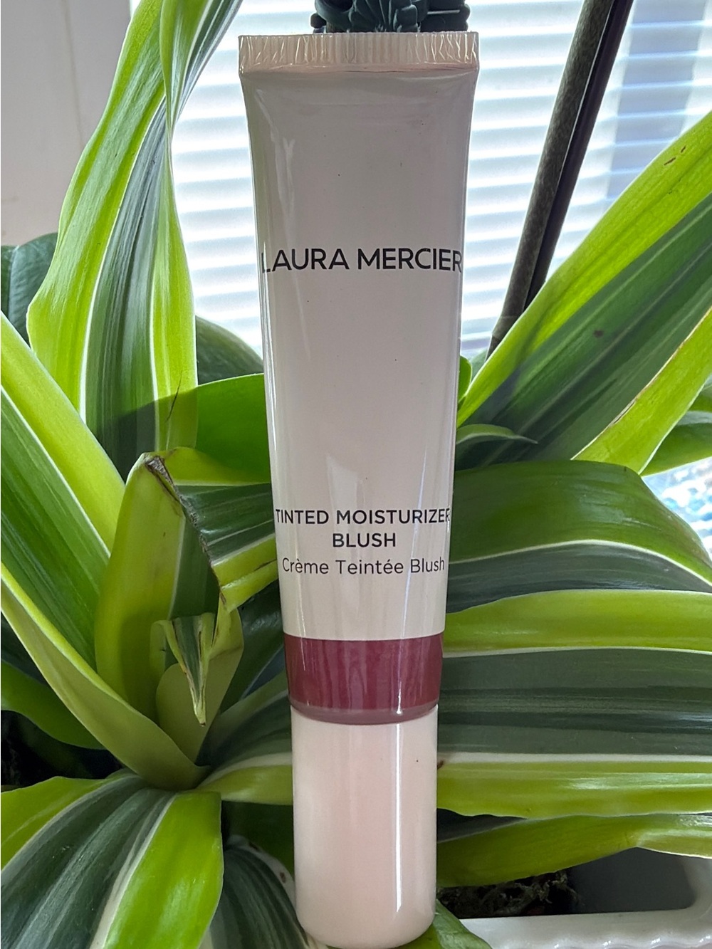 Laura Mercier Tinted Moisturizer Blush - CROISETTE , Cream & Rose,